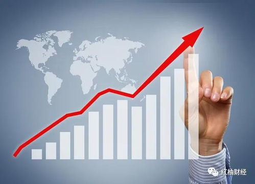 海能實業(yè)上半年預(yù)計凈利5000萬 5500萬